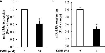 MicroRNA-135a Protects Against Ethanol-Induced Apoptosis in Neural Crest Cells and Craniofacial Defects in Zebrafish by Modulating the <mark class="highlighted">Siah1</mark>/p38/p53 Pathway